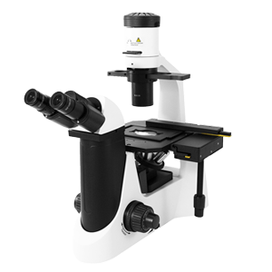 Biological Microscope